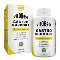 Gastro Support  - 60 caps